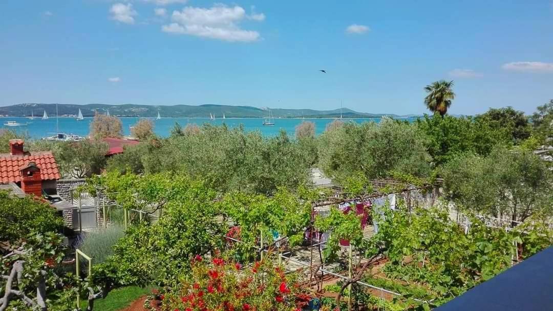 Beach Apartment Roza Biograd Oneroom - Premium Location Biograd Na Moru Exteriör bild