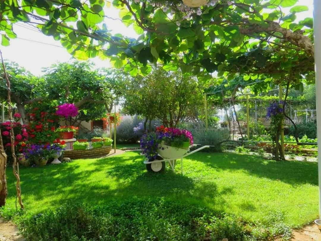 Beach Apartment Roza Biograd Oneroom - Premium Location Biograd Na Moru Exteriör bild