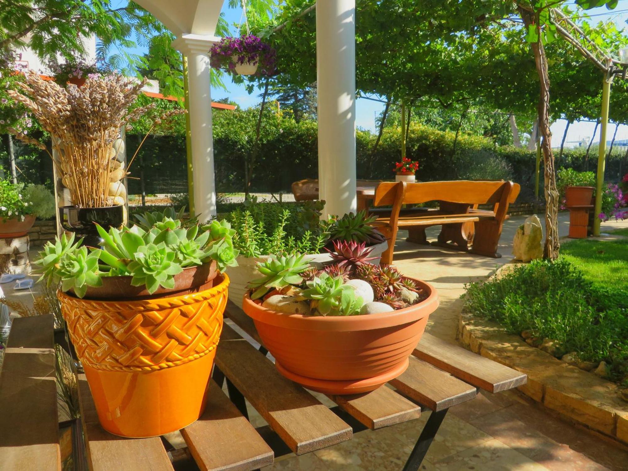 Beach Apartment Roza Biograd Oneroom - Premium Location Biograd Na Moru Exteriör bild