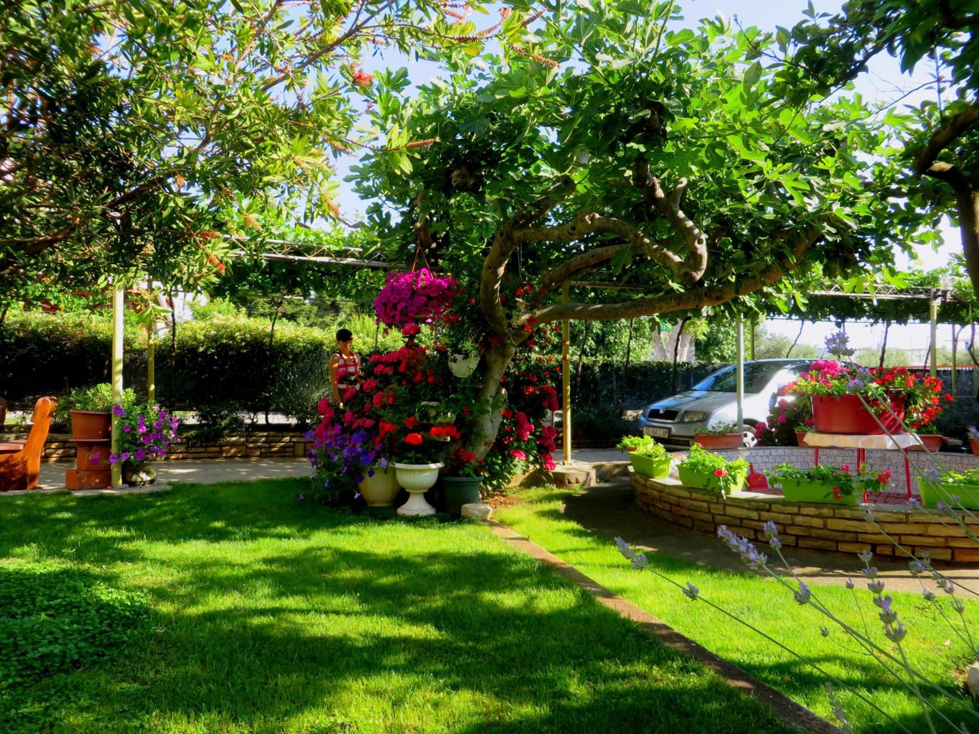 Beach Apartment Roza Biograd Oneroom - Premium Location Biograd Na Moru Exteriör bild